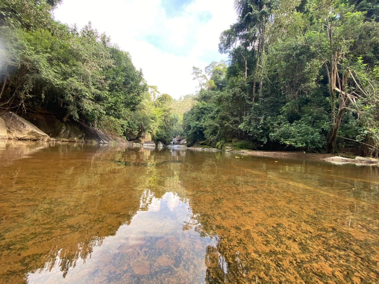 Descubra o Espírito Santo Fotos Rio Novo do Sul